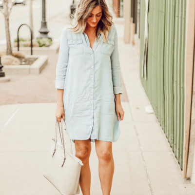 The Best Chambray Maternity Dress